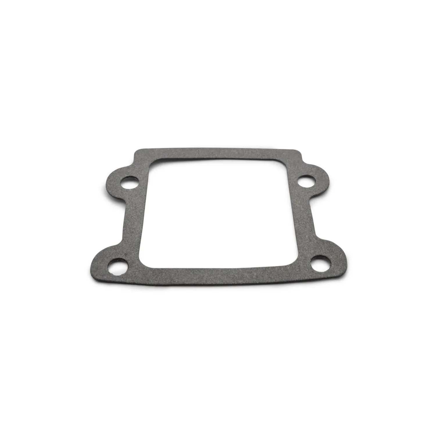 Kolektoriaus tarpinė Minarelli Vertical